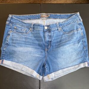 #T905-Torrid Vintage Stretch Denim Jean Shorts-20W